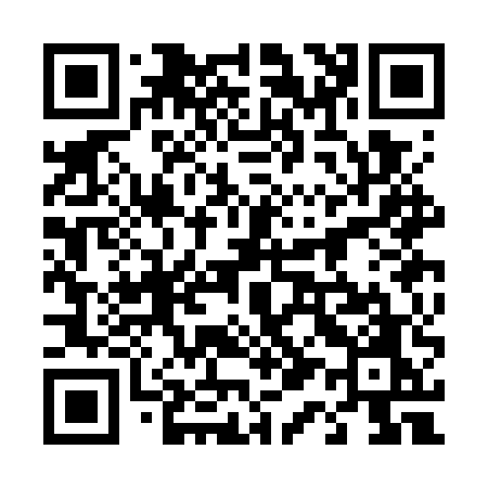 QR code for 413GUO