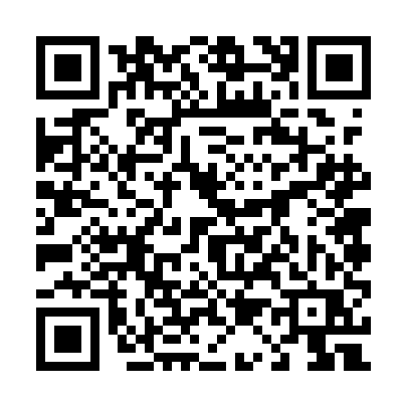 QR code for 4161ERX