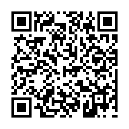 QR code for 4161IZ