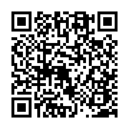 QR code for 4161WBG