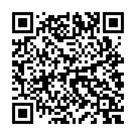 QR code for 4163PT