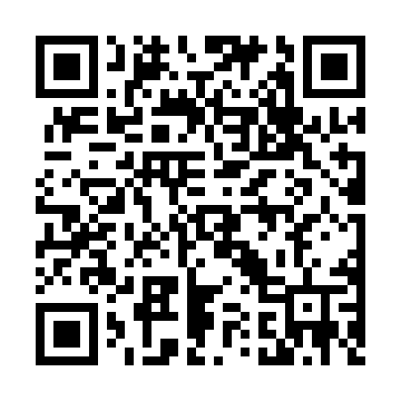 QR code for 4171MV