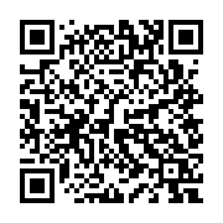 QR code for 4171ZS