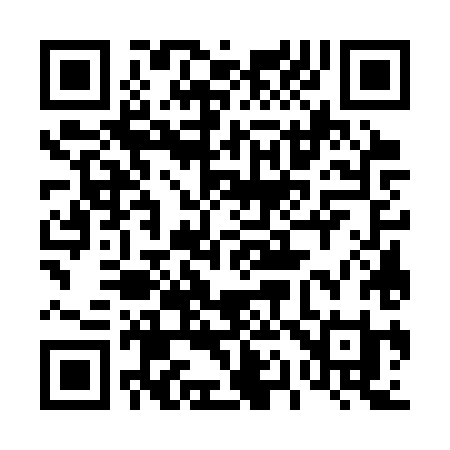 QR code for 4173XI