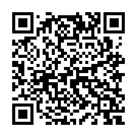 QR code for 4193LT
