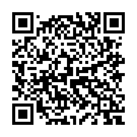 QR code for 4195FH