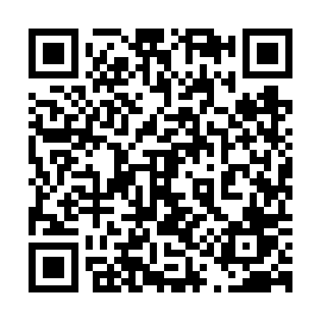 QR code for 4196PV