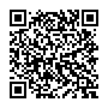 QR code for 4196VB
