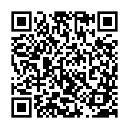 QR code for 4199DK