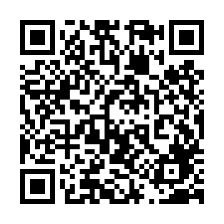 QR code for 419DXF