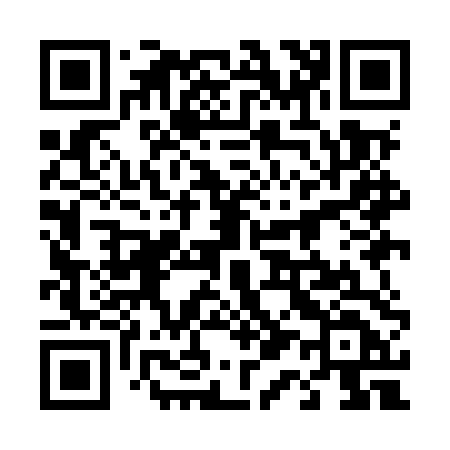 QR code for 419MTD