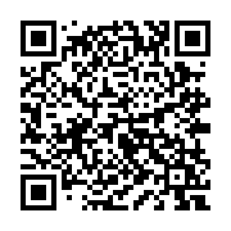 QR code for 419PLU