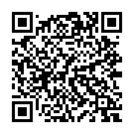 QR code for 419PZA