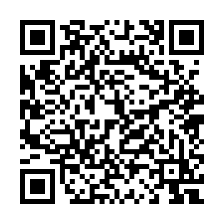 QR code for 4201QZY