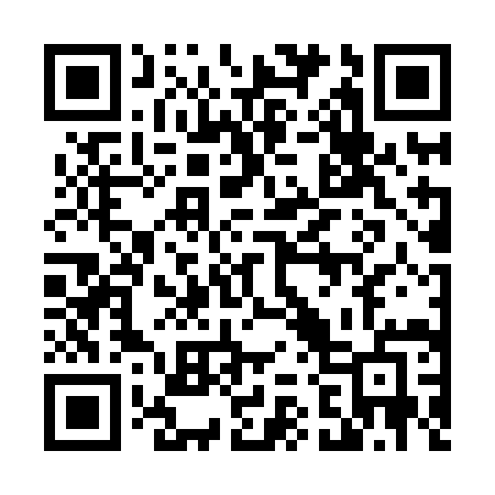 QR code for 4228IE
