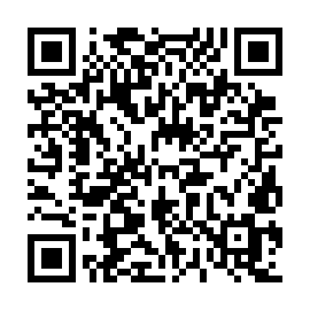 QR code for 4233MM