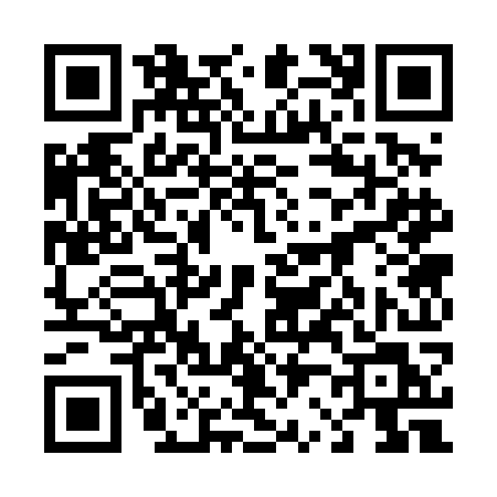 QR code for 4234OLY