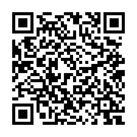 QR code for 4234PGC