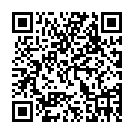 QR code for 4251MX