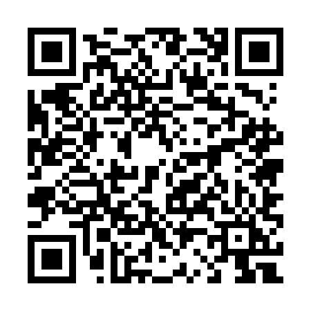 QR code for 4256HIP