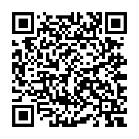 QR code for 425TIR