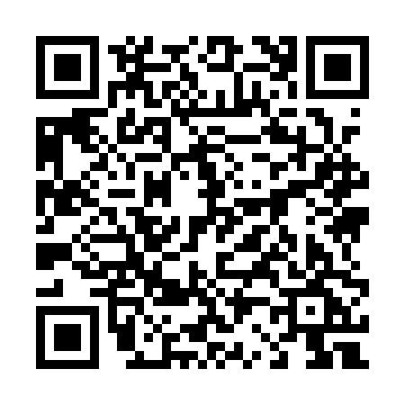 QR code for 4291PGJ