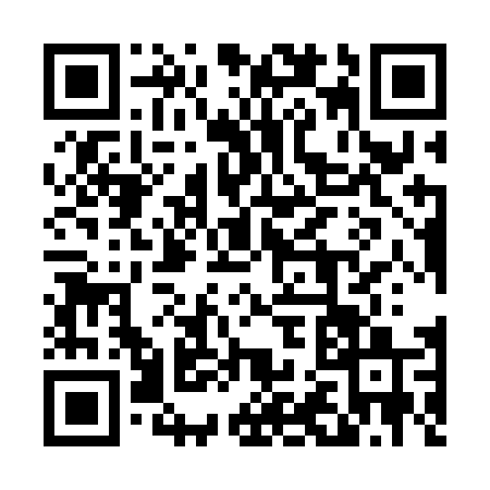 QR code for 4293DSI
