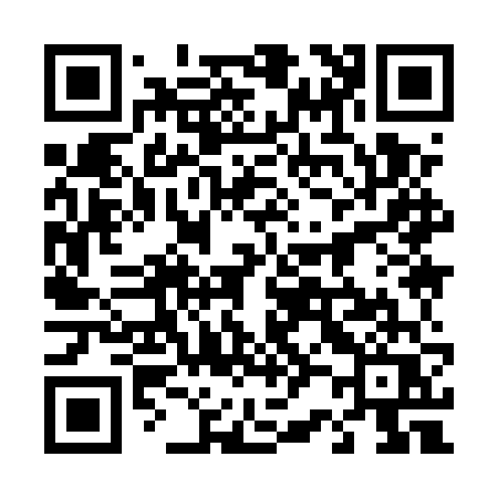 QR code for 4295VQ