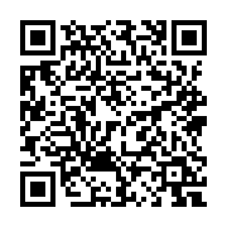 QR code for 4299PLV