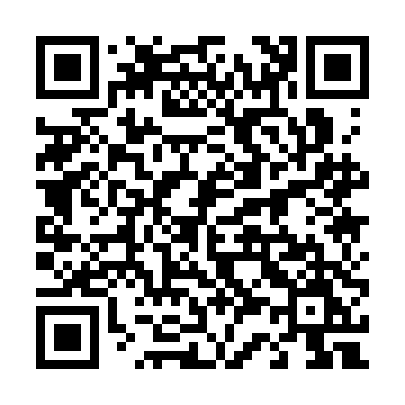 QR code for 4313DM
