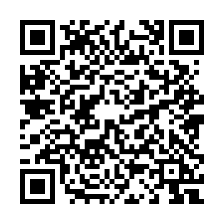 QR code for 4386TIN