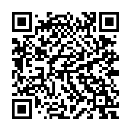 QR code for 439TEM