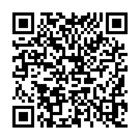 QR code for 4491IJ