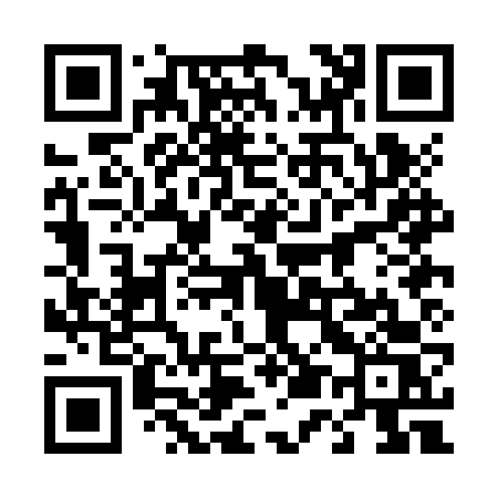 QR code for 450JVS