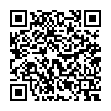 QR code for 4538HST