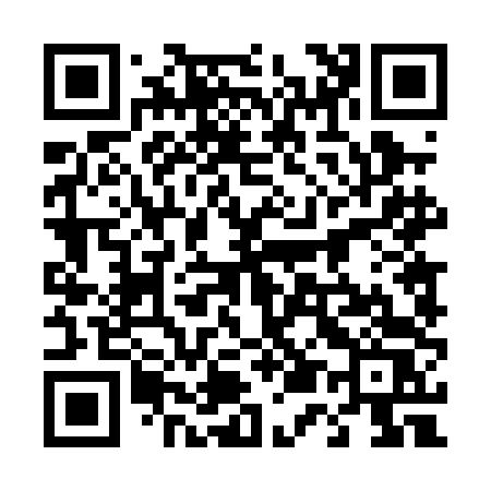 QR code for 4540DS