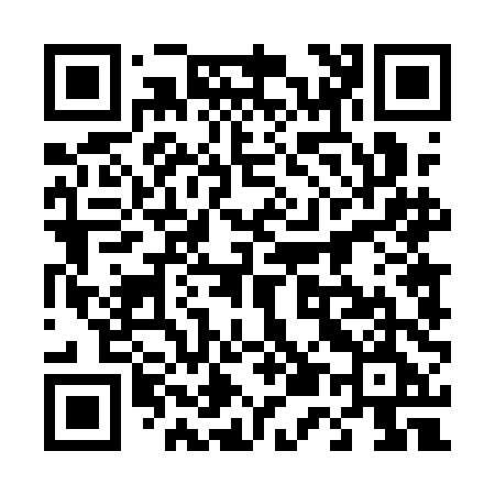 QR code for 4541DE