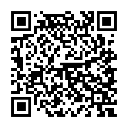 QR code for 4541LV