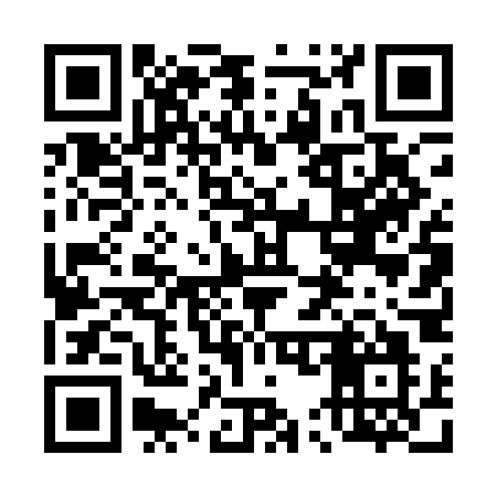 QR code for 4541OO