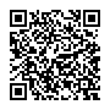 QR code for 4546DVS