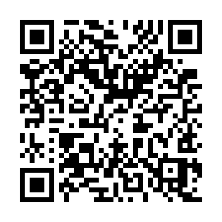 QR code for 459GIS