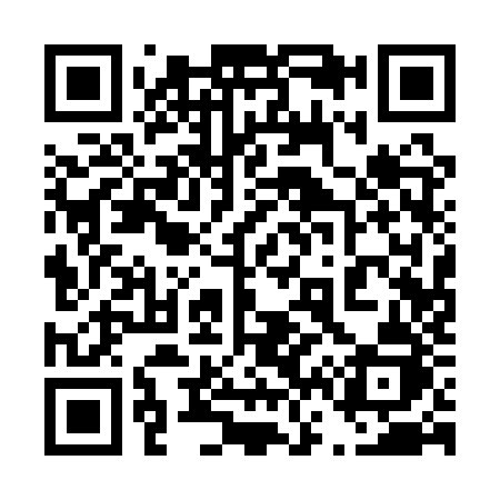 QR code for 4611ZJ