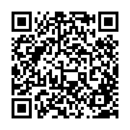 QR code for 462PMF