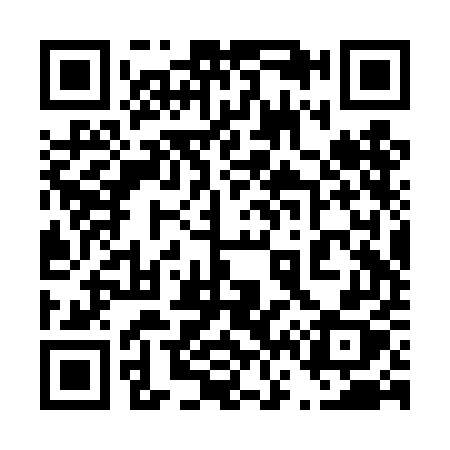QR code for 462TEX