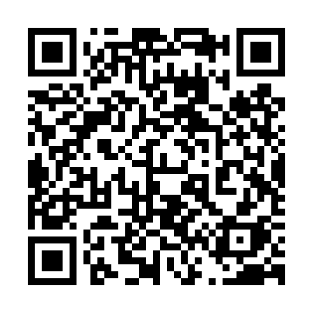 QR code for 462TSH