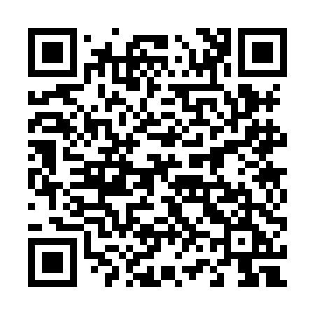 QR code for 4638DE