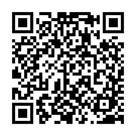QR code for 4638TM