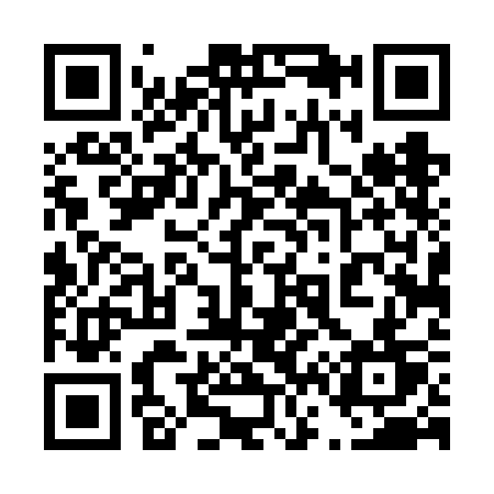 QR code for 4646CT