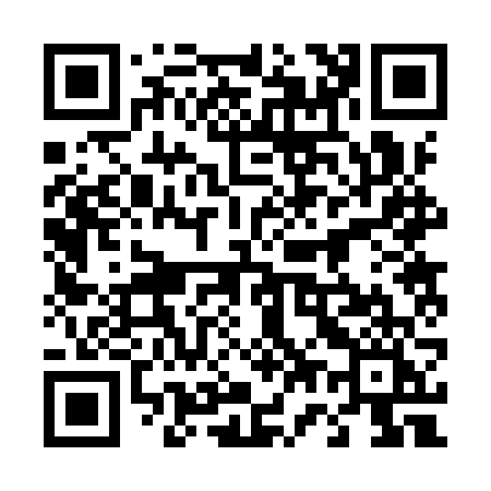 QR code for 4729VI