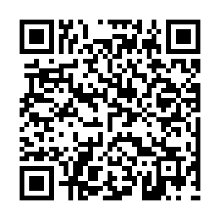 QR code for 4733DS